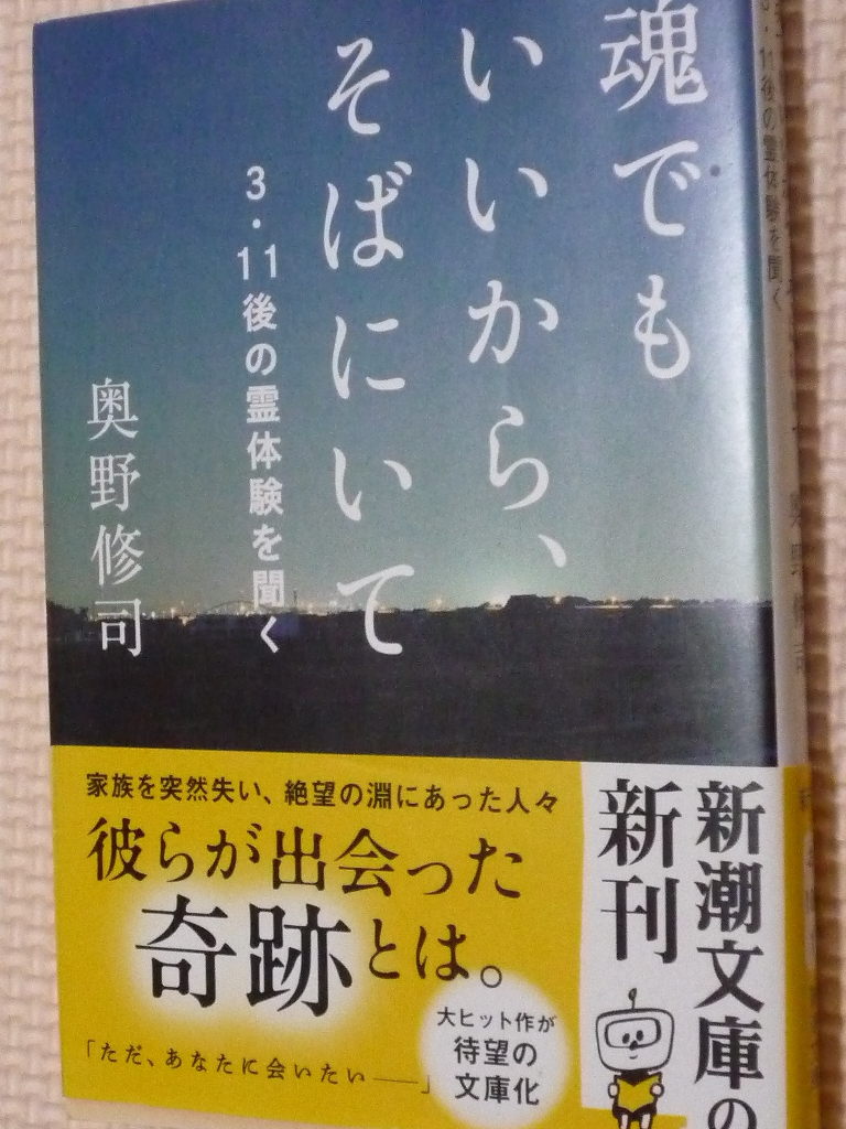 魂でもいいから、そばにいて 奥野修司（著）