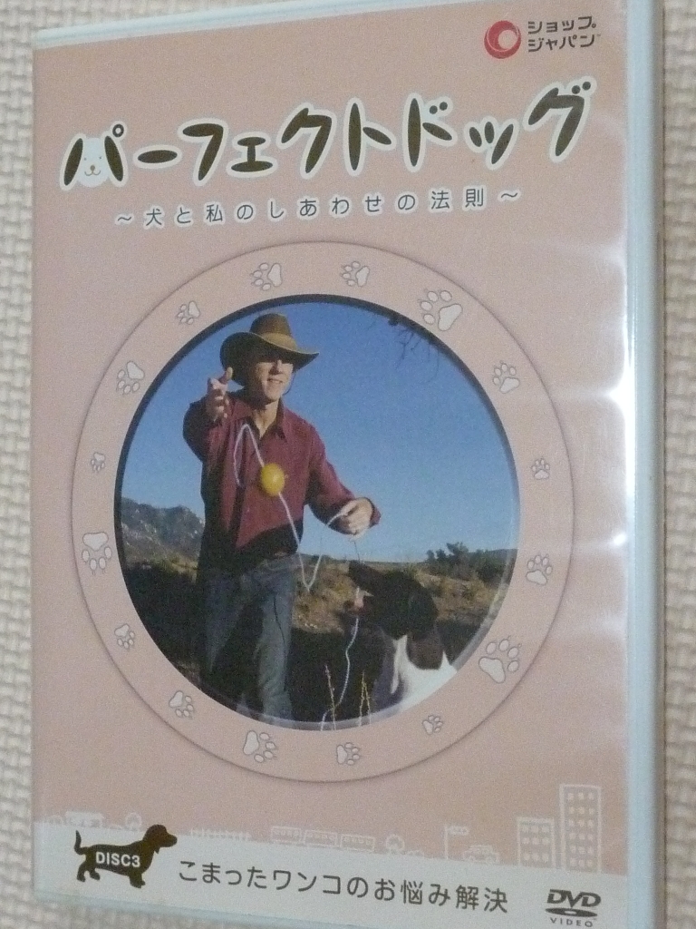 ペット　犬と私のしあわせの法則　パーフェクトドッグ３　こまったワンコのお悩み解決