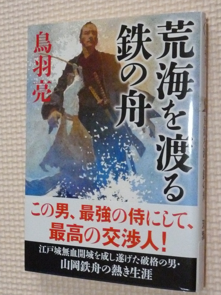荒海を渡る鉄の船　鳥羽亮（著）