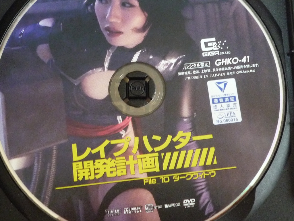 GIGA レイプハンター開発計画File10 ダークシャドウ 徳永れい ジャケット無し